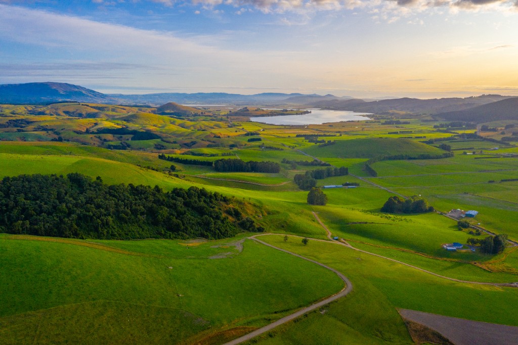Rolling green hills and wide open North Otago farmland at golden hour